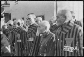 Gevangenen in Sachsenhausen, 19 december 1938